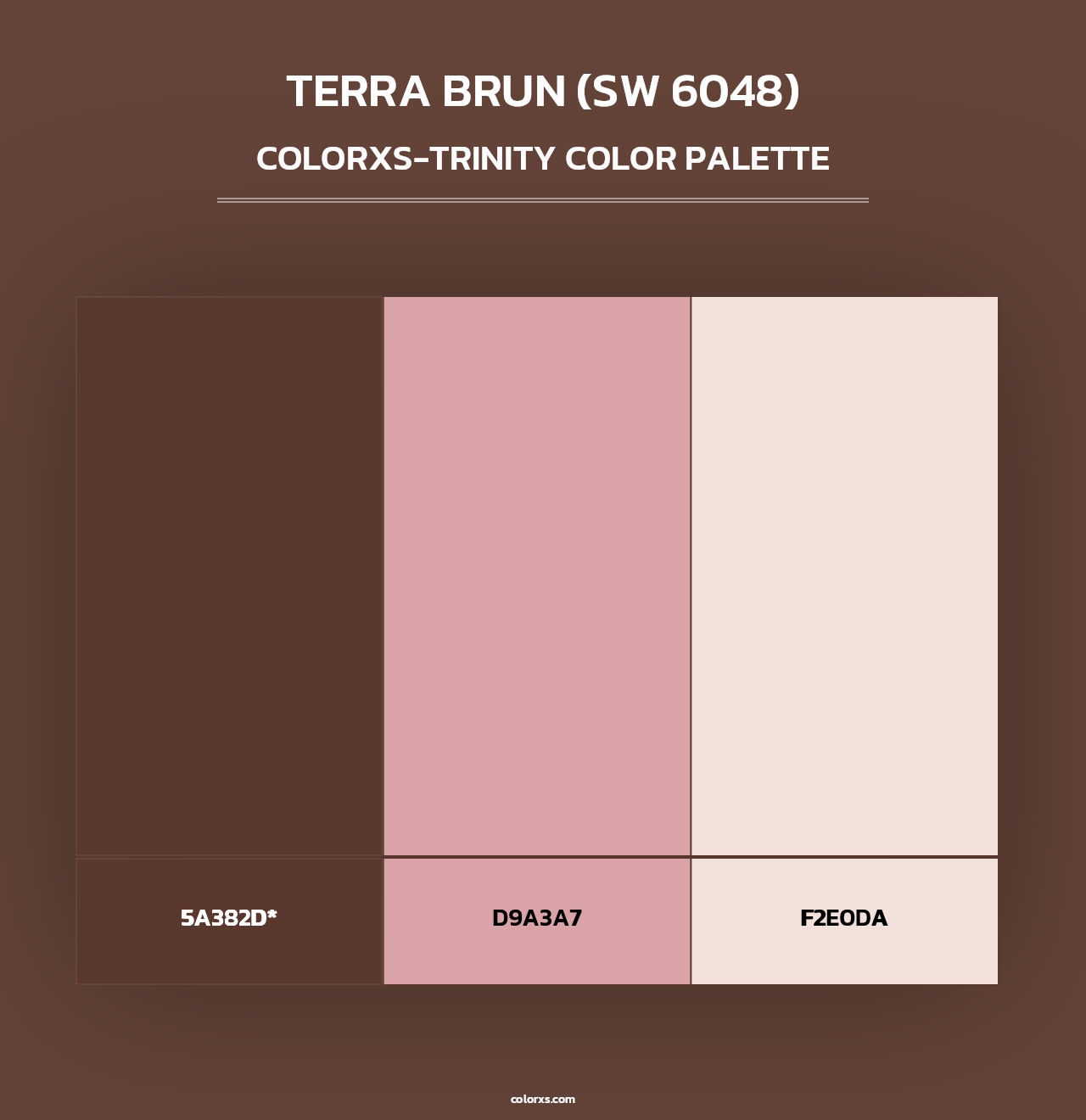 Terra Brun (SW 6048) - Colorxs Trinity Palette