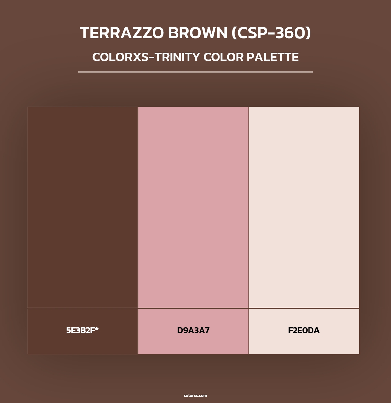 Terrazzo Brown (CSP-360) - Colorxs Trinity Palette