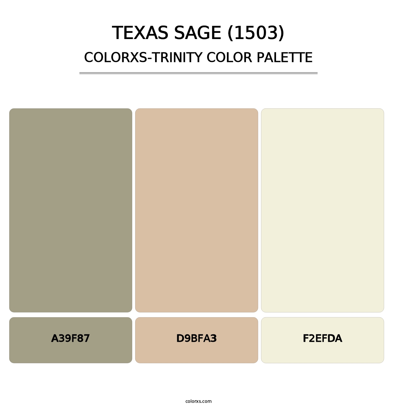 Texas Sage (1503) - Colorxs Trinity Palette