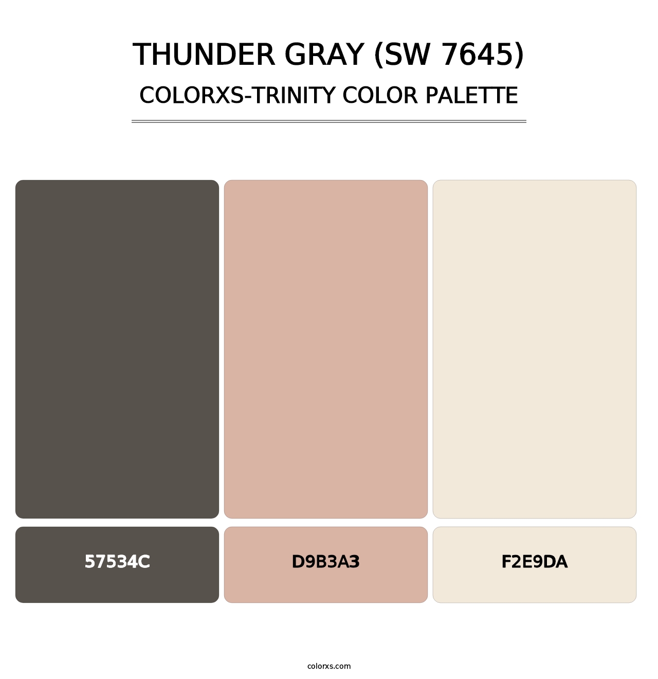 Thunder Gray (SW 7645) - Colorxs Trinity Palette