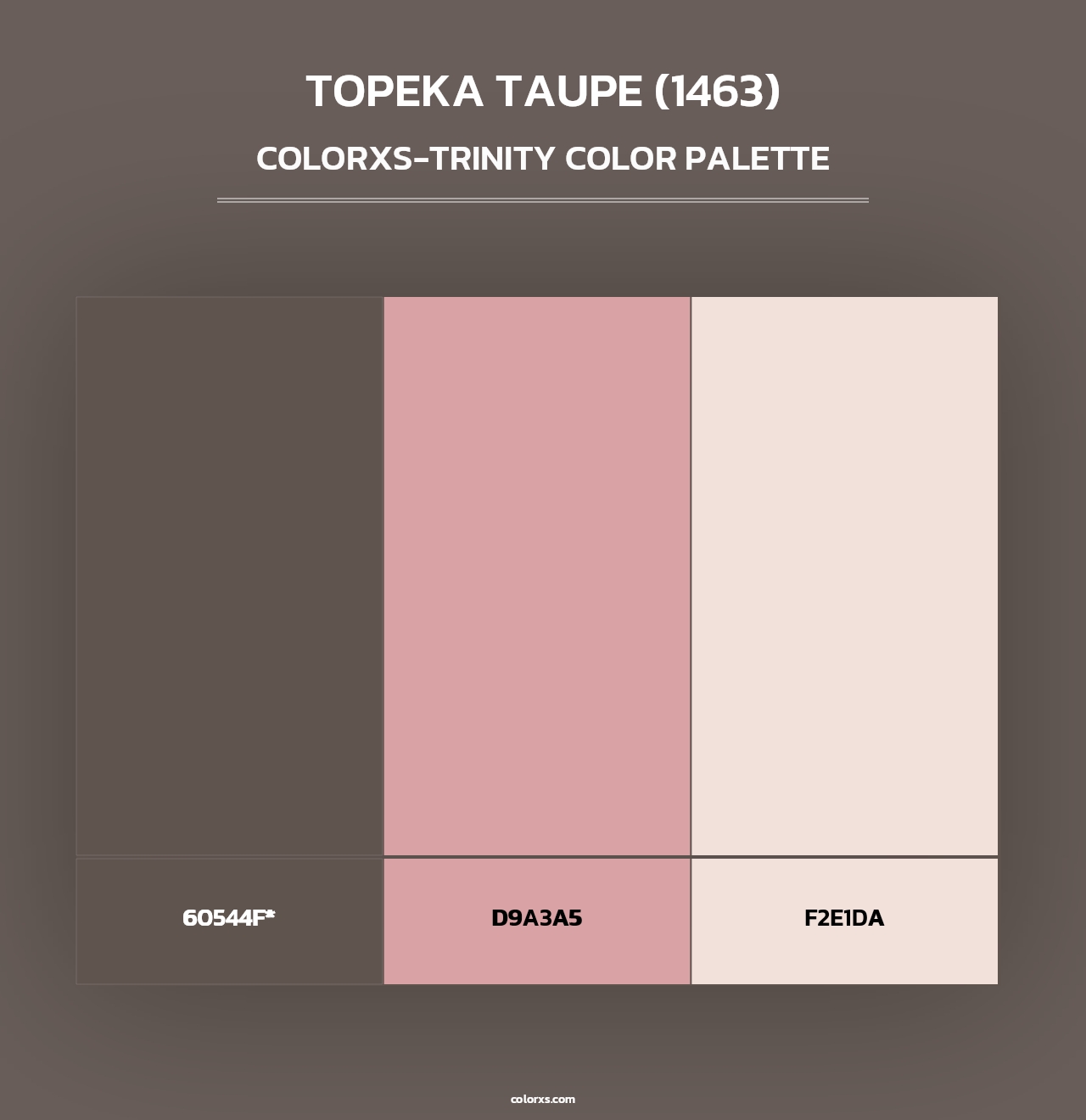Topeka Taupe (1463) - Colorxs Trinity Palette
