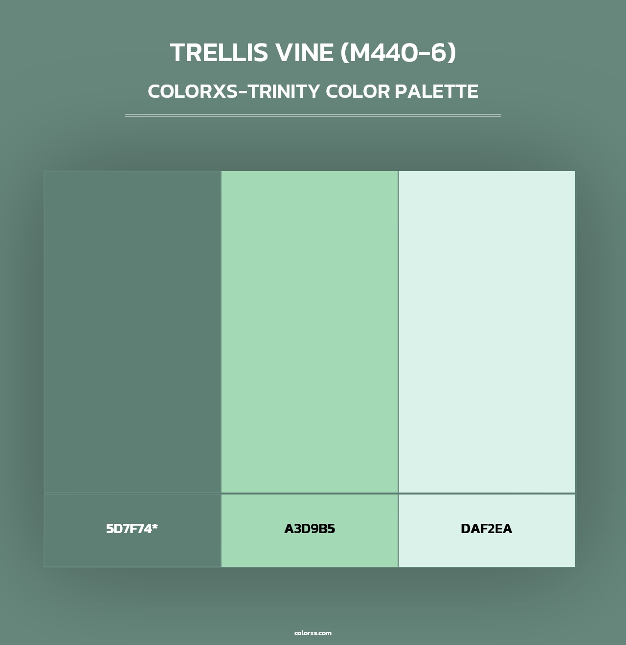Trellis Vine (M440-6) - Colorxs Trinity Palette