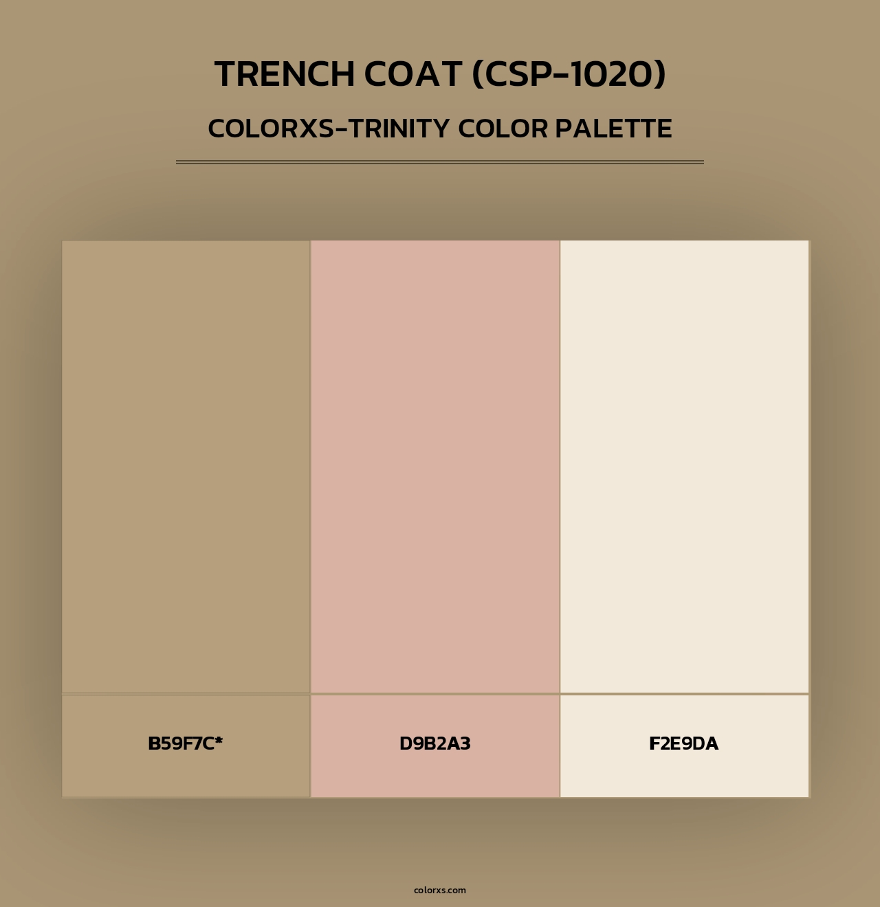 Trench Coat (CSP-1020) - Colorxs Trinity Palette