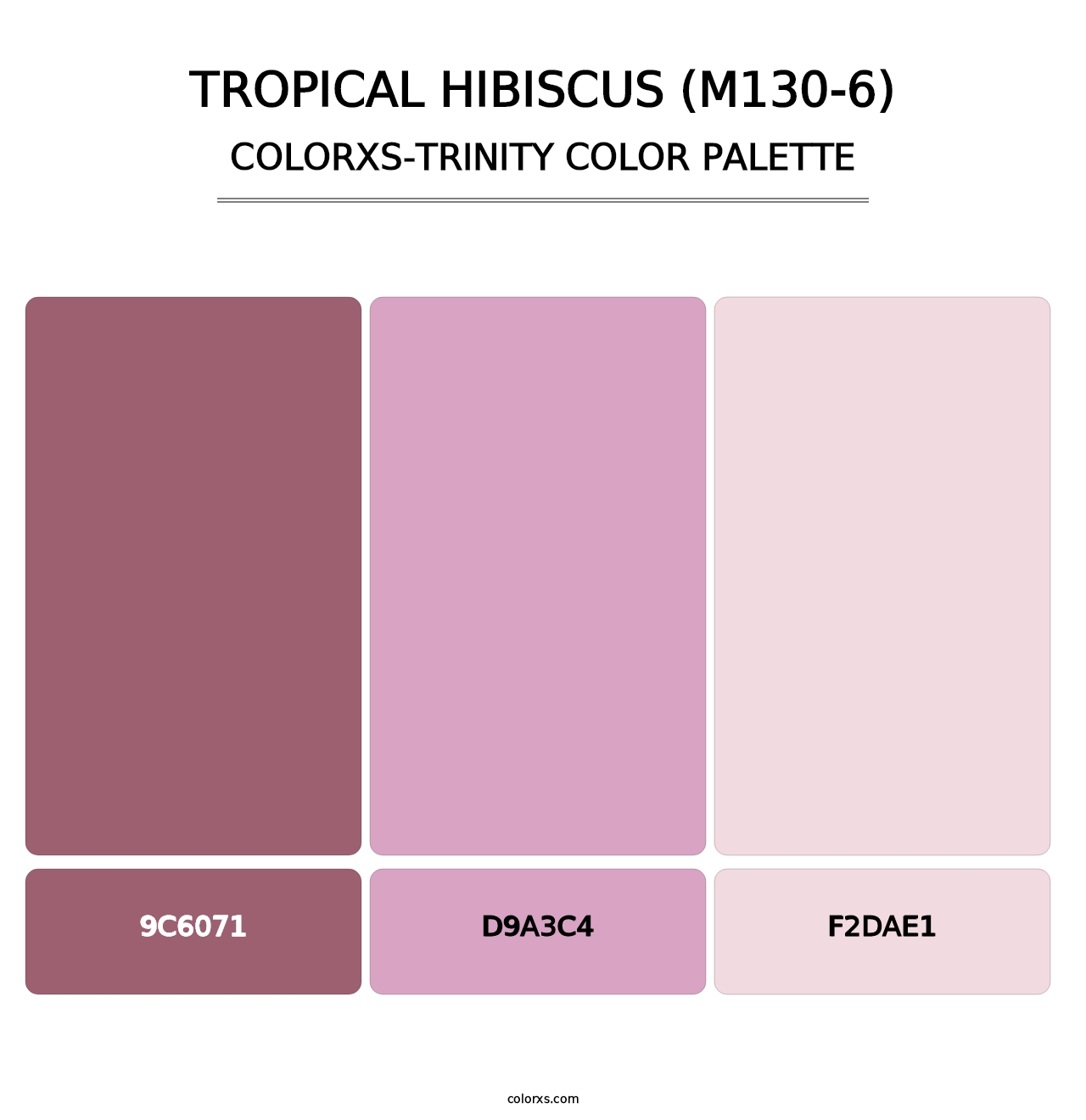 Tropical Hibiscus (M130-6) - Colorxs Trinity Palette