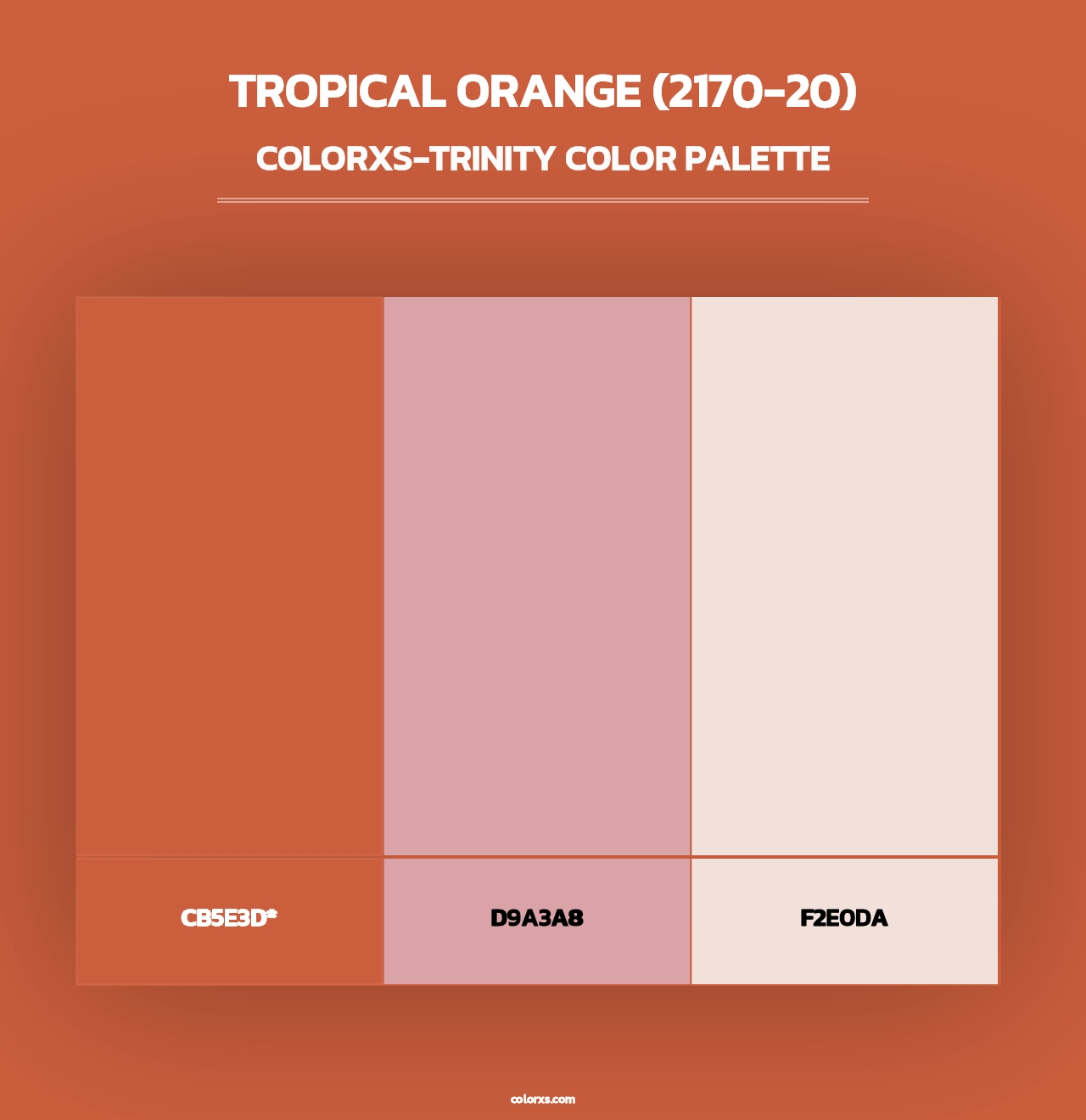 Tropical Orange (2170-20) - Colorxs Trinity Palette