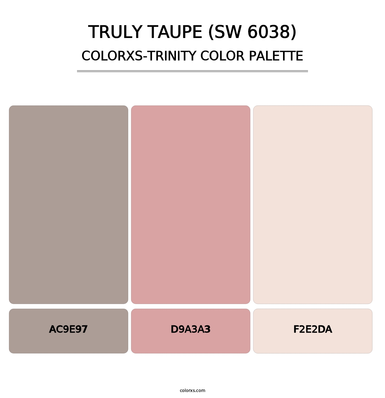 Truly Taupe (SW 6038) - Colorxs Trinity Palette