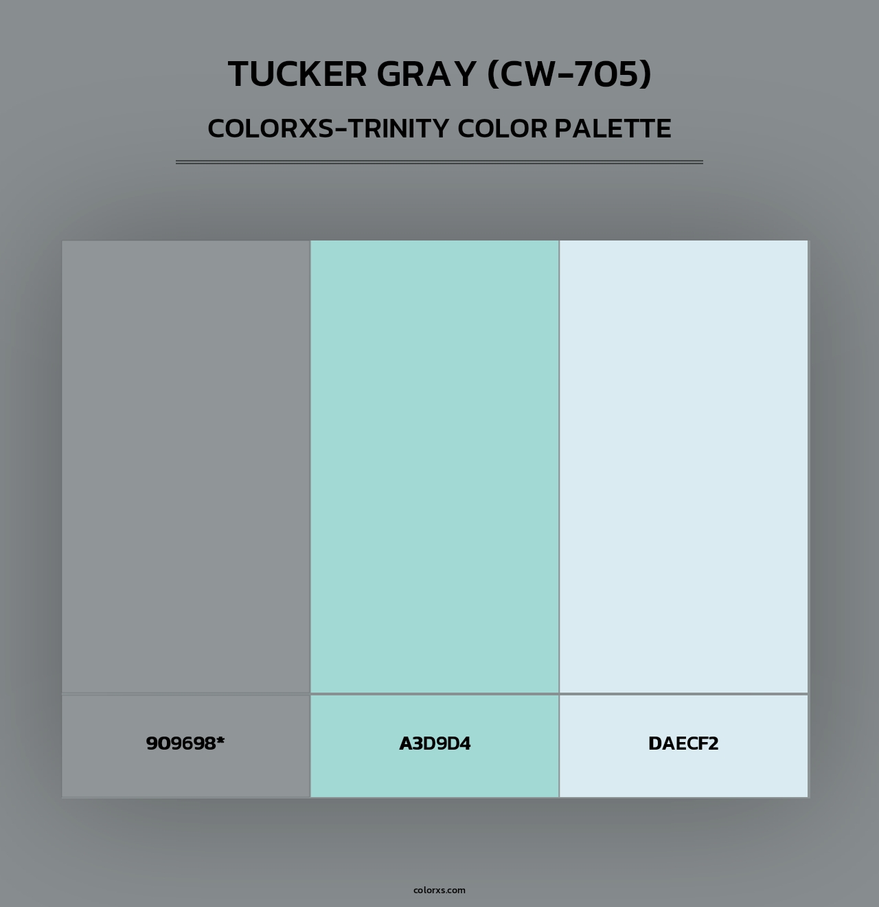 Tucker Gray (CW-705) - Colorxs Trinity Palette