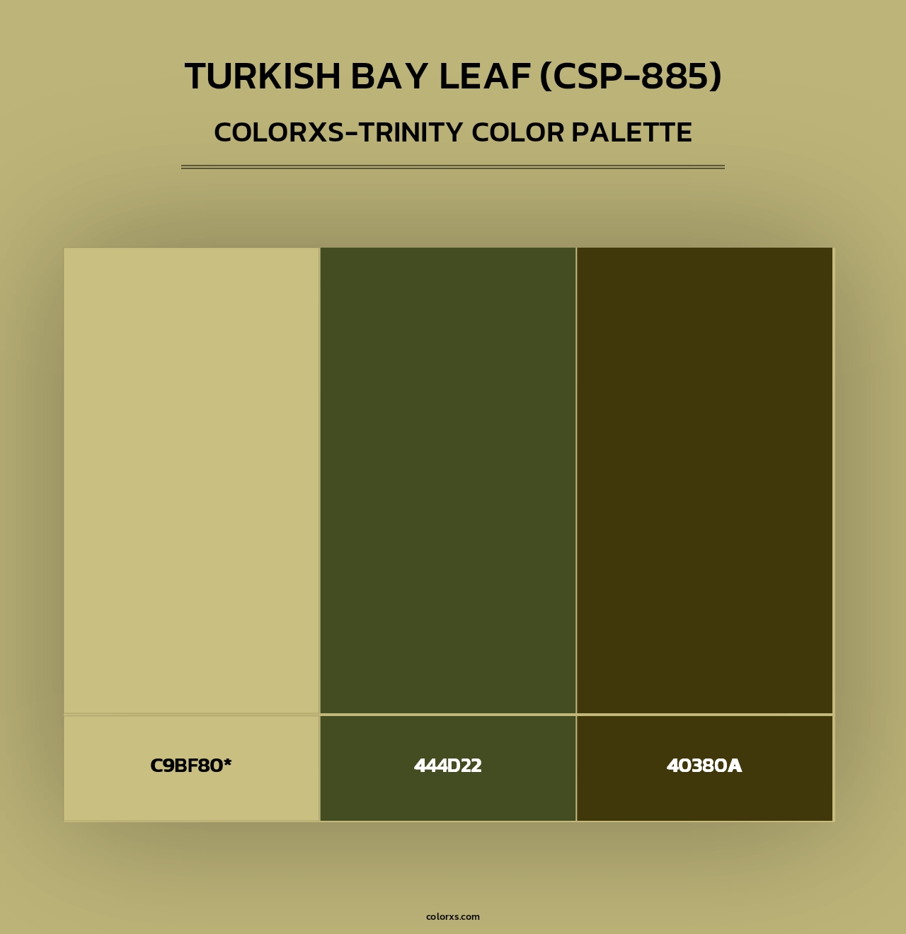 Turkish Bay Leaf (CSP-885) - Colorxs Trinity Palette