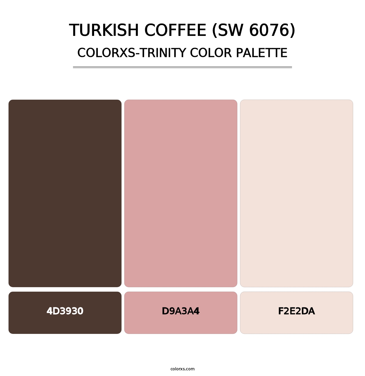 Turkish Coffee (SW 6076) - Colorxs Trinity Palette