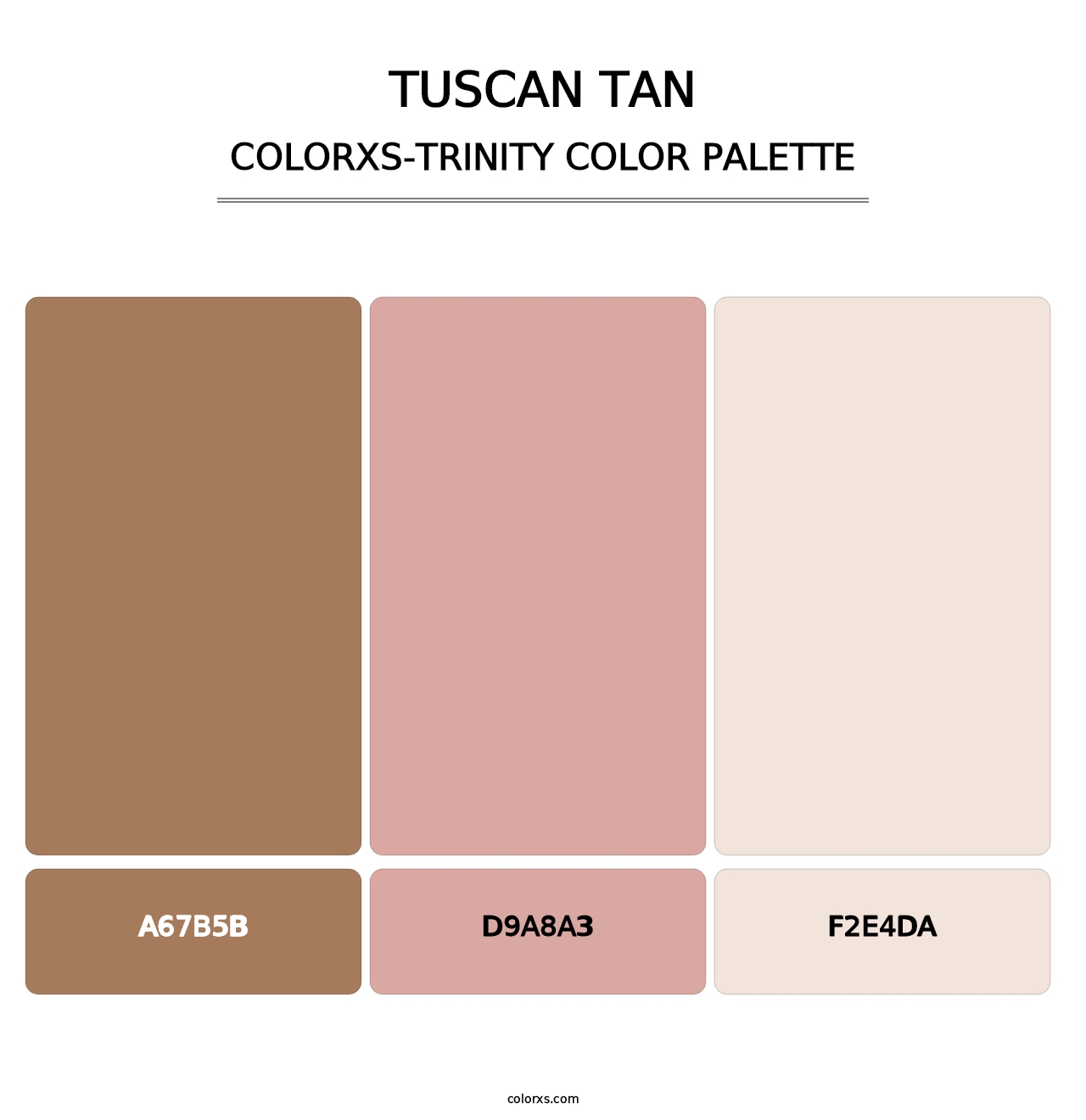 Tuscan Tan - Colorxs Trinity Palette