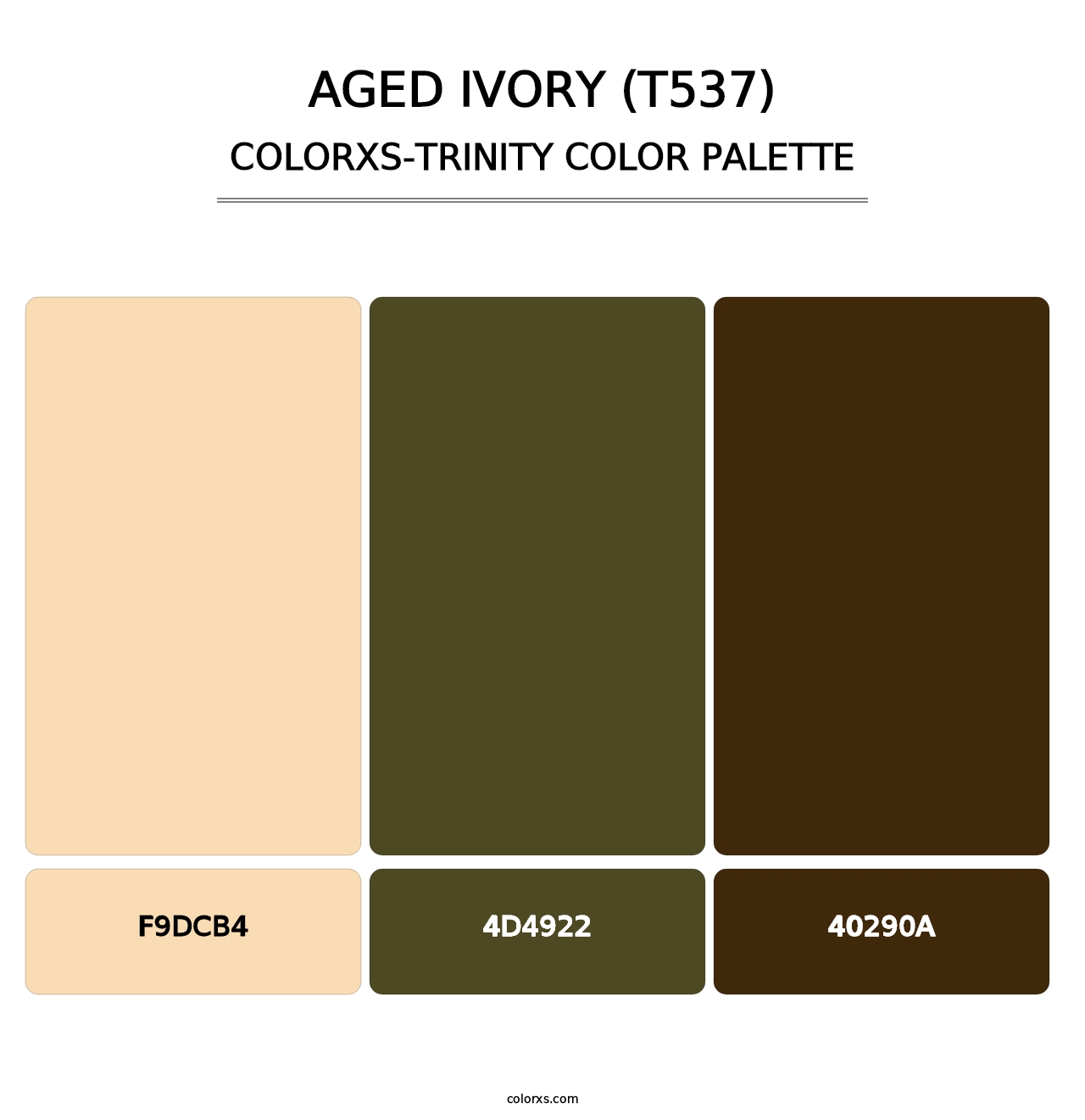 Aged Ivory (T537) - Colorxs Trinity Palette