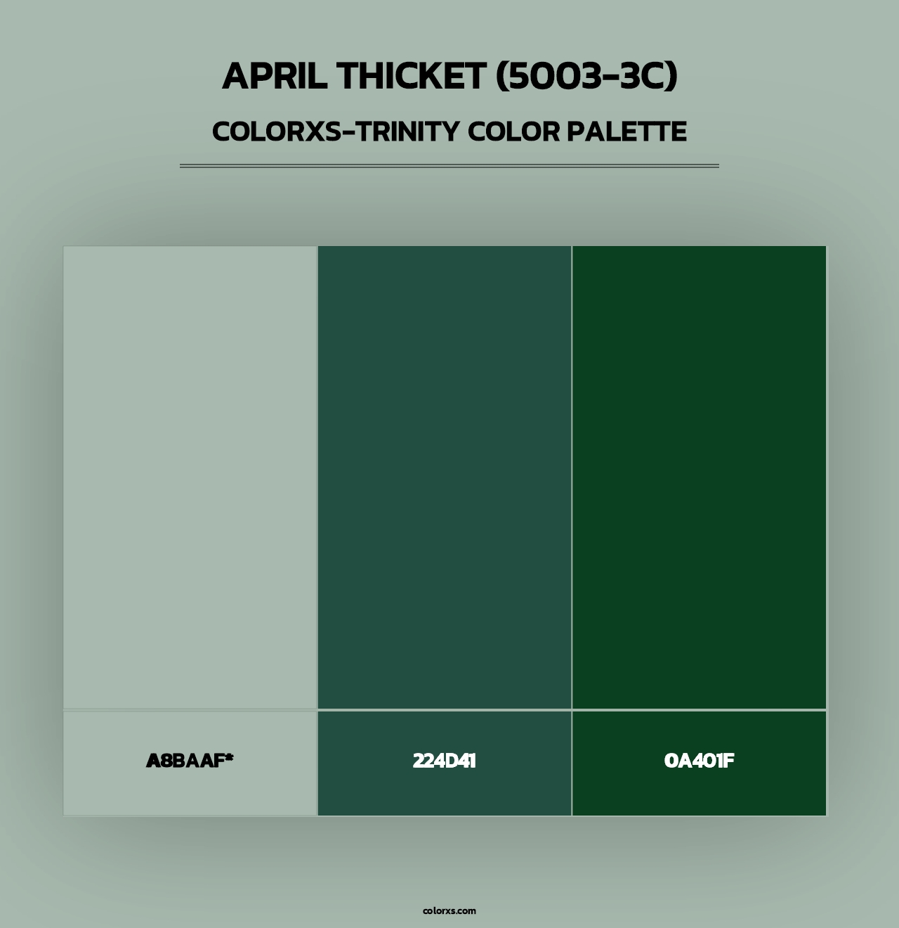 April Thicket (5003-3C) - Colorxs Trinity Palette