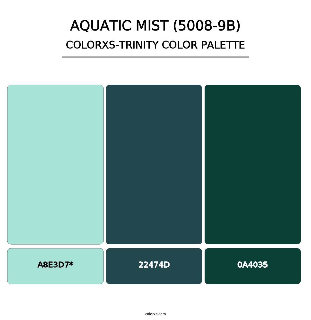 Aquatic Mist (5008-9B) - Colorxs Trinity Palette