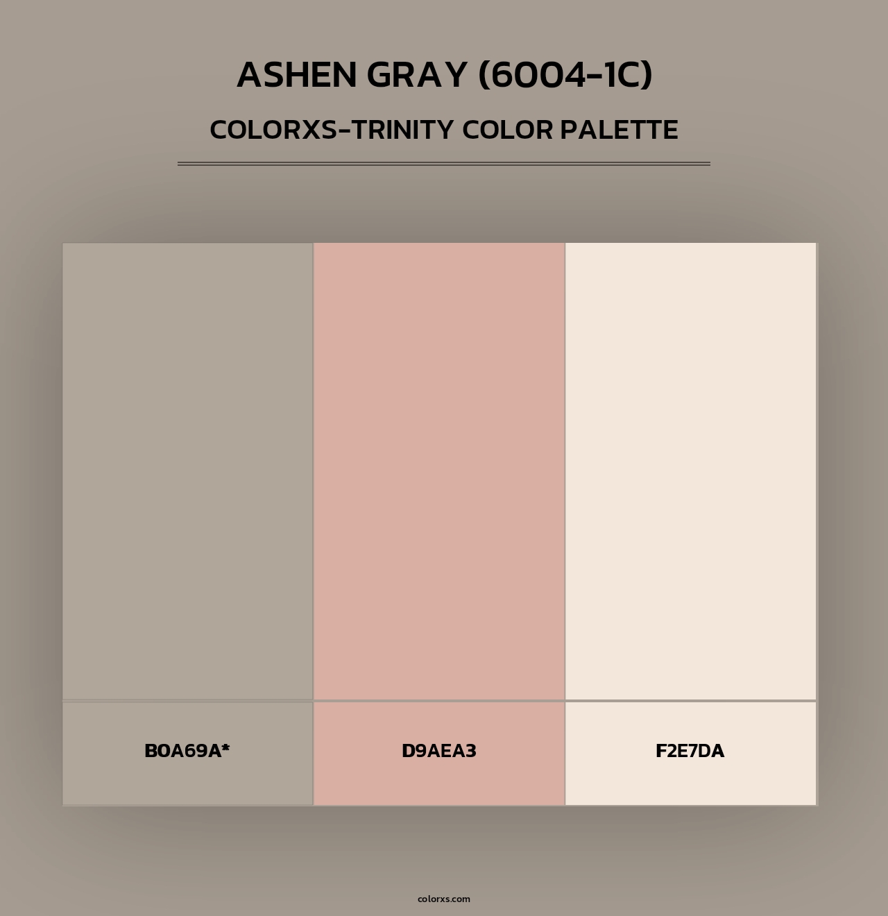 Ashen Gray (6004-1C) - Colorxs Trinity Palette