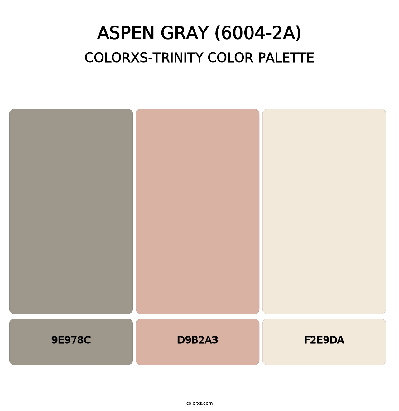 Aspen Gray (6004-2A) - Colorxs Trinity Palette