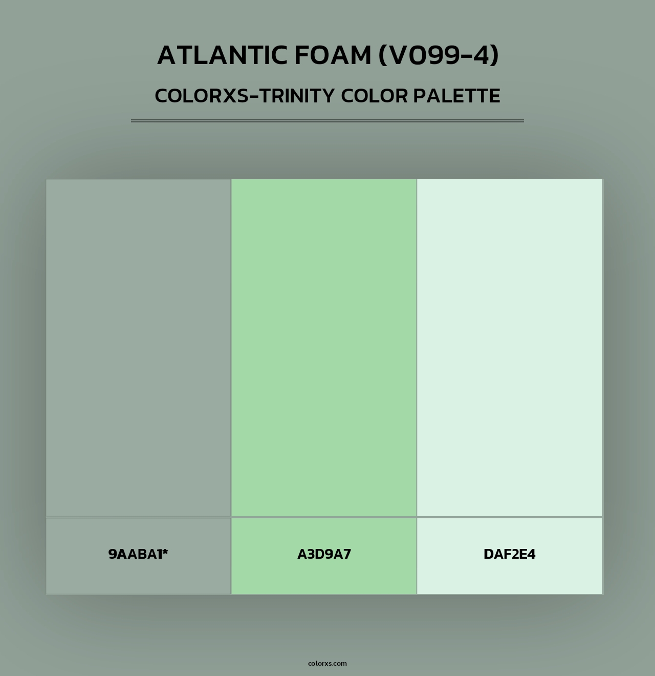 Atlantic Foam (V099-4) - Colorxs Trinity Palette