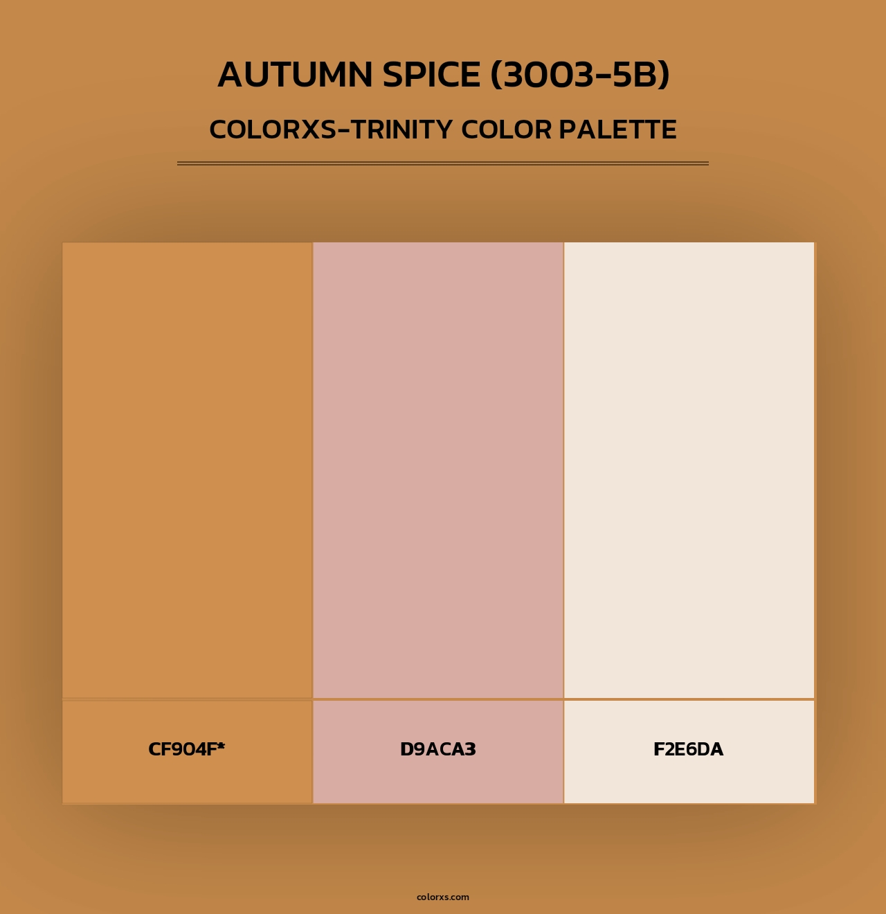 Autumn Spice (3003-5B) - Colorxs Trinity Palette