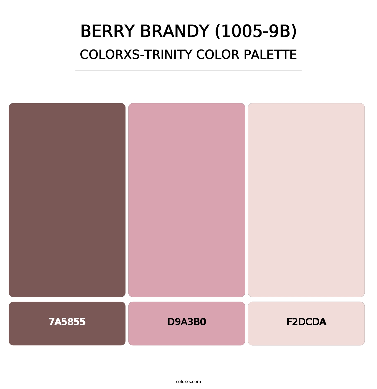 Berry Brandy (1005-9B) - Colorxs Trinity Palette
