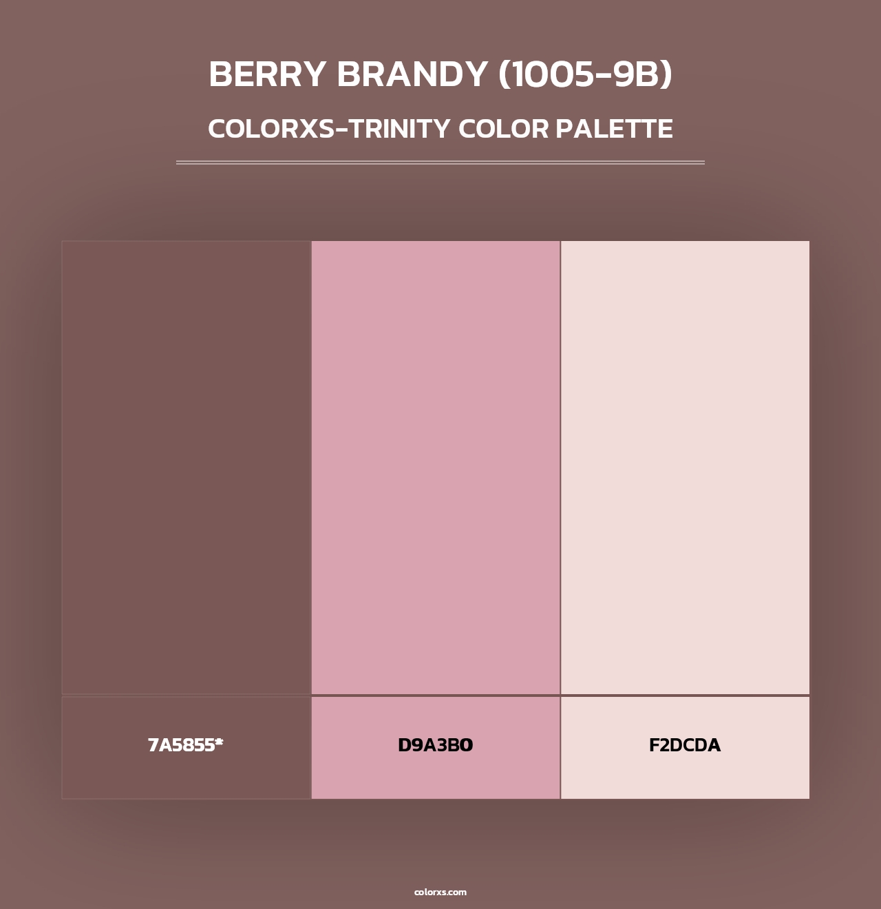 Berry Brandy (1005-9B) - Colorxs Trinity Palette