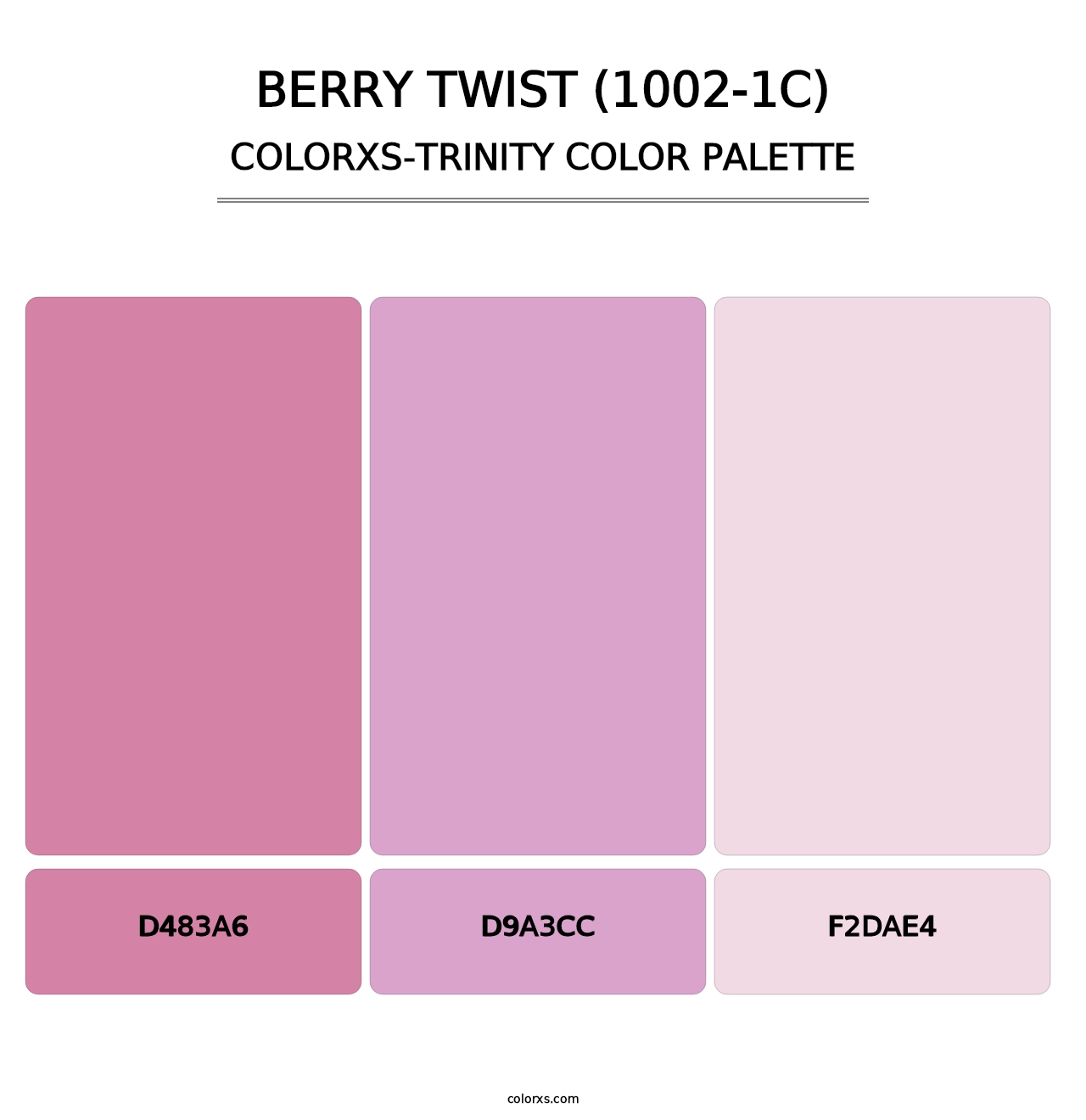 Berry Twist (1002-1C) - Colorxs Trinity Palette