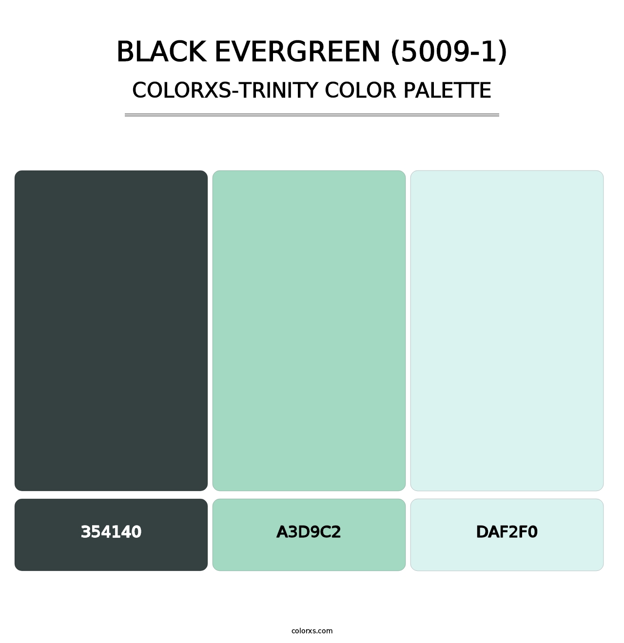 Black Evergreen (5009-1) - Colorxs Trinity Palette