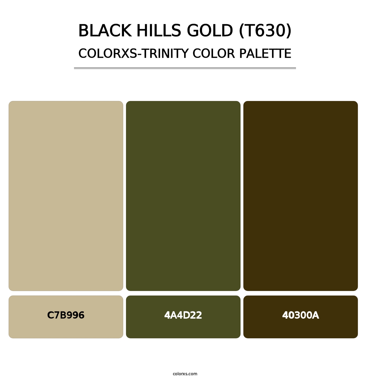 Black Hills Gold (T630) - Colorxs Trinity Palette