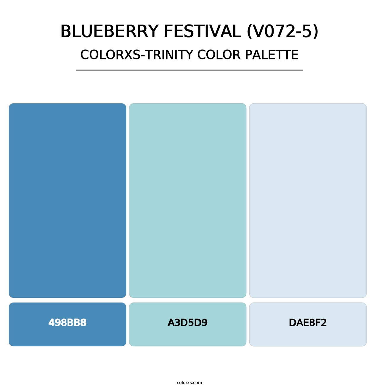 Blueberry Festival (V072-5) - Colorxs Trinity Palette
