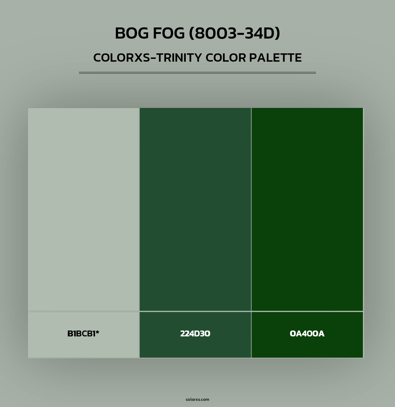 Bog Fog (8003-34D) - Colorxs Trinity Palette