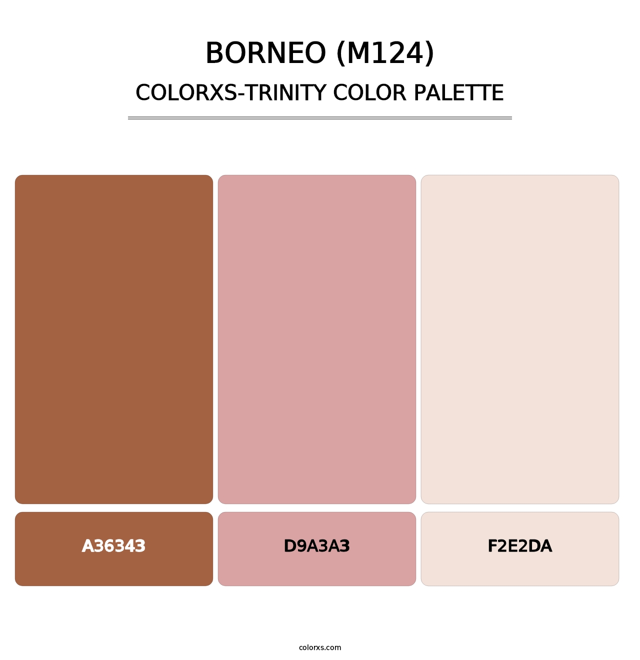 Borneo (M124) - Colorxs Trinity Palette