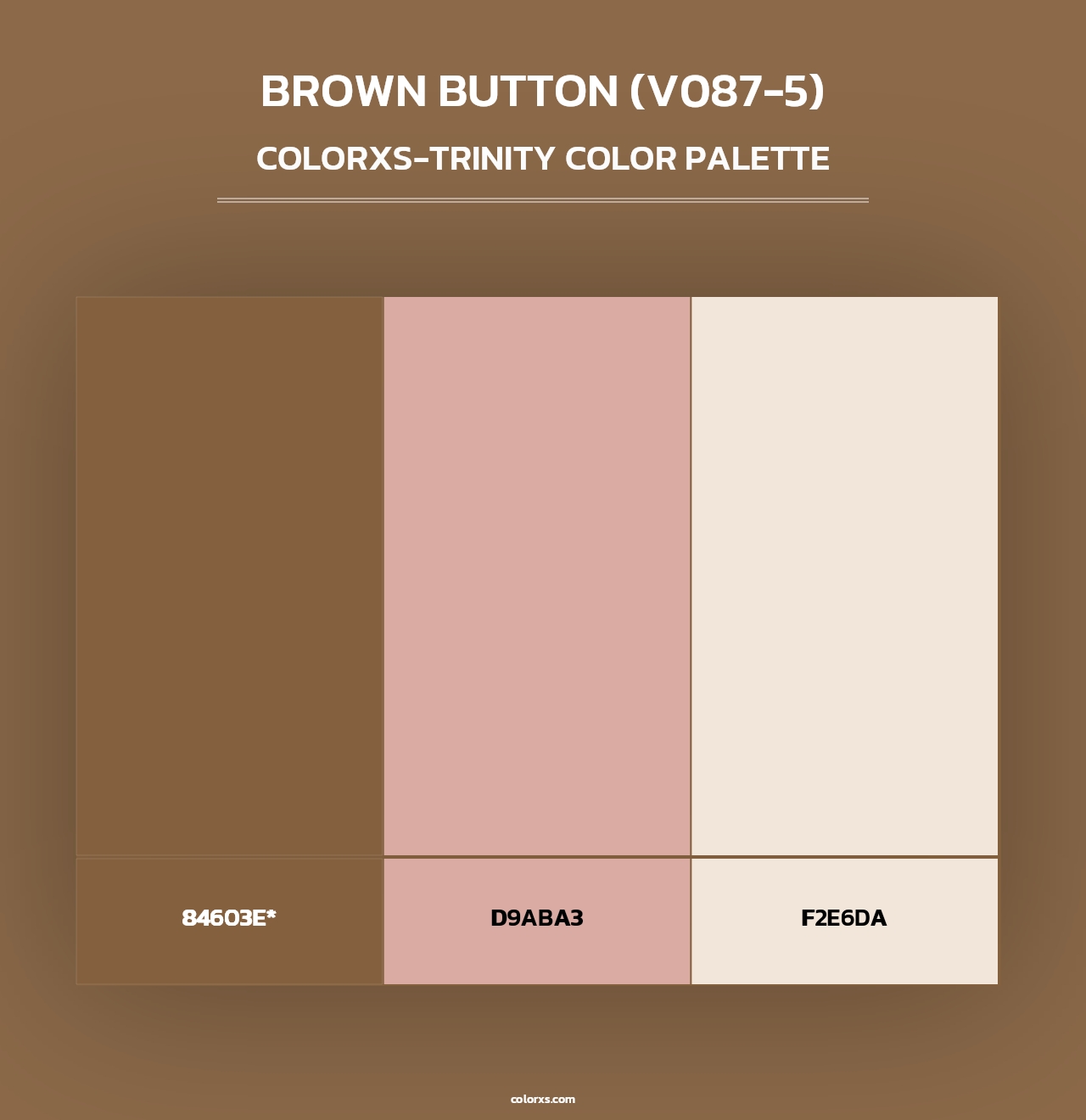 Brown Button (V087-5) - Colorxs Trinity Palette