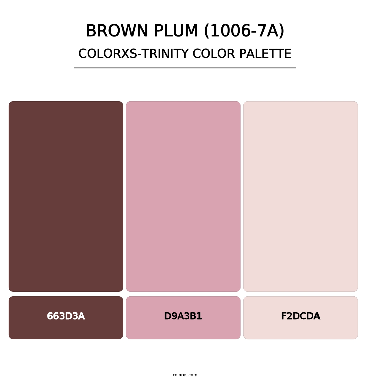 Brown Plum (1006-7A) - Colorxs Trinity Palette