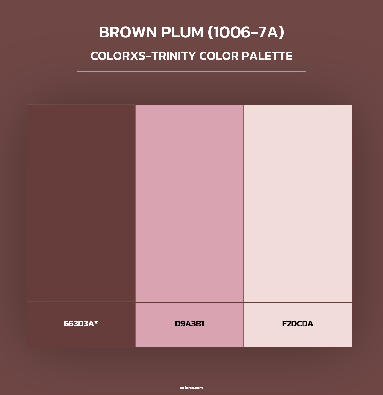 Brown Plum (1006-7A) - Colorxs Trinity Palette