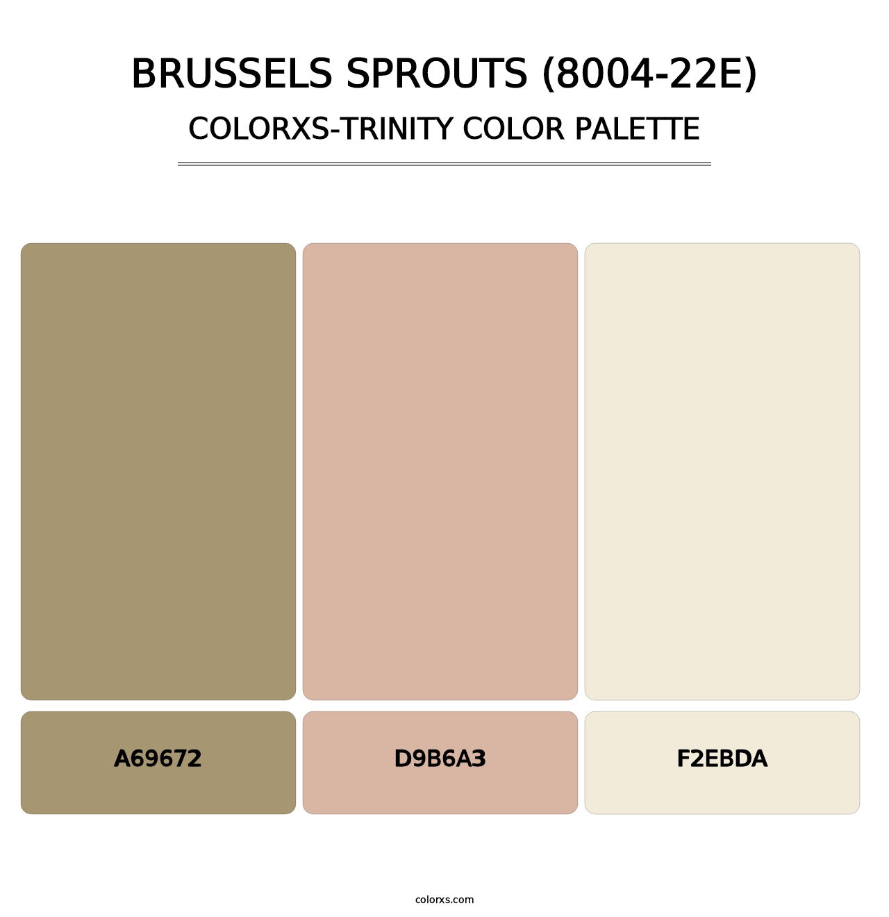 Brussels Sprouts (8004-22E) - Colorxs Trinity Palette