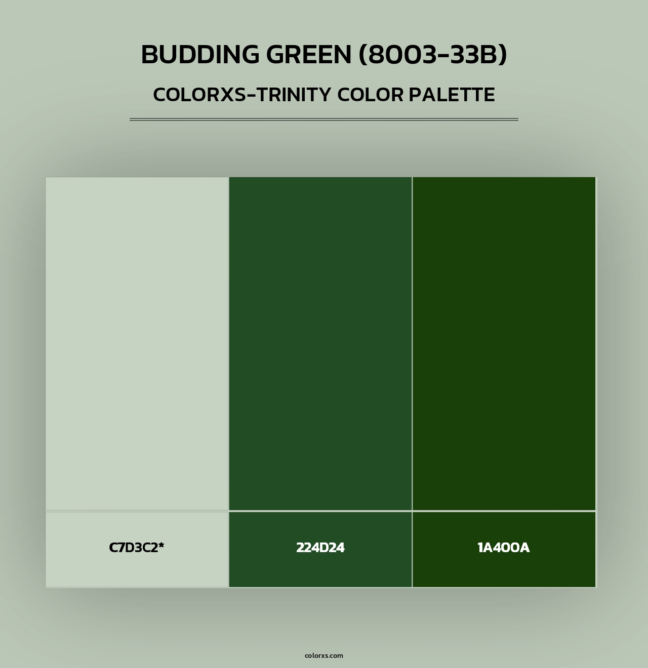 Budding Green (8003-33B) - Colorxs Trinity Palette