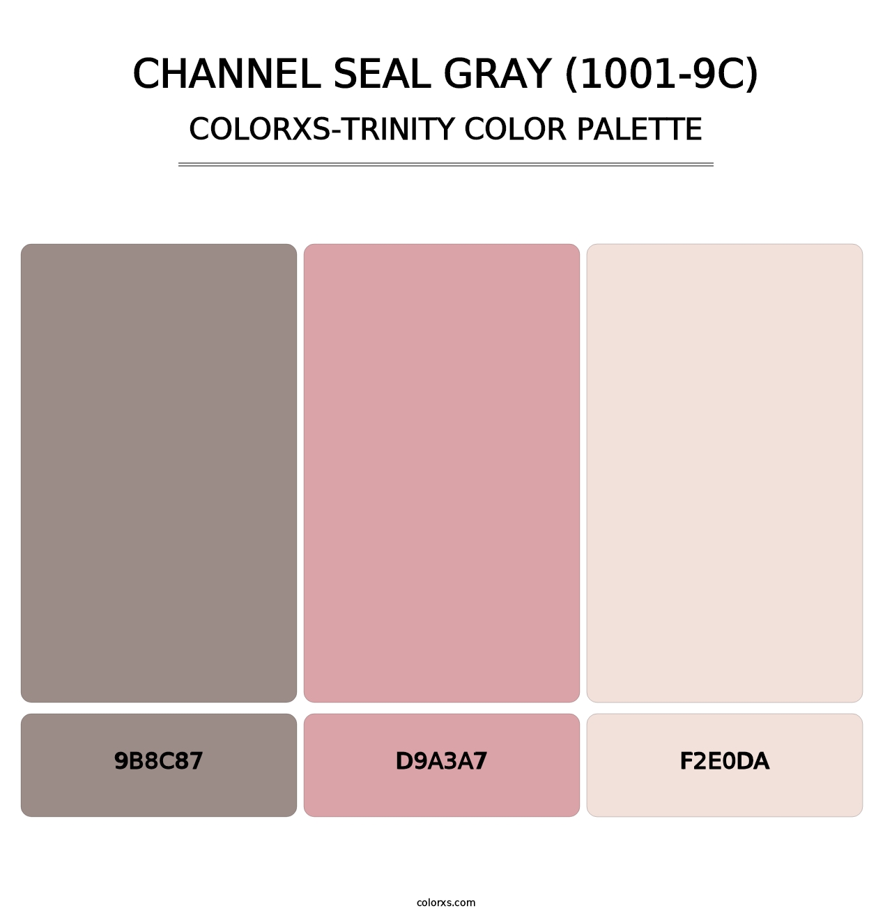 Channel Seal Gray (1001-9C) - Colorxs Trinity Palette