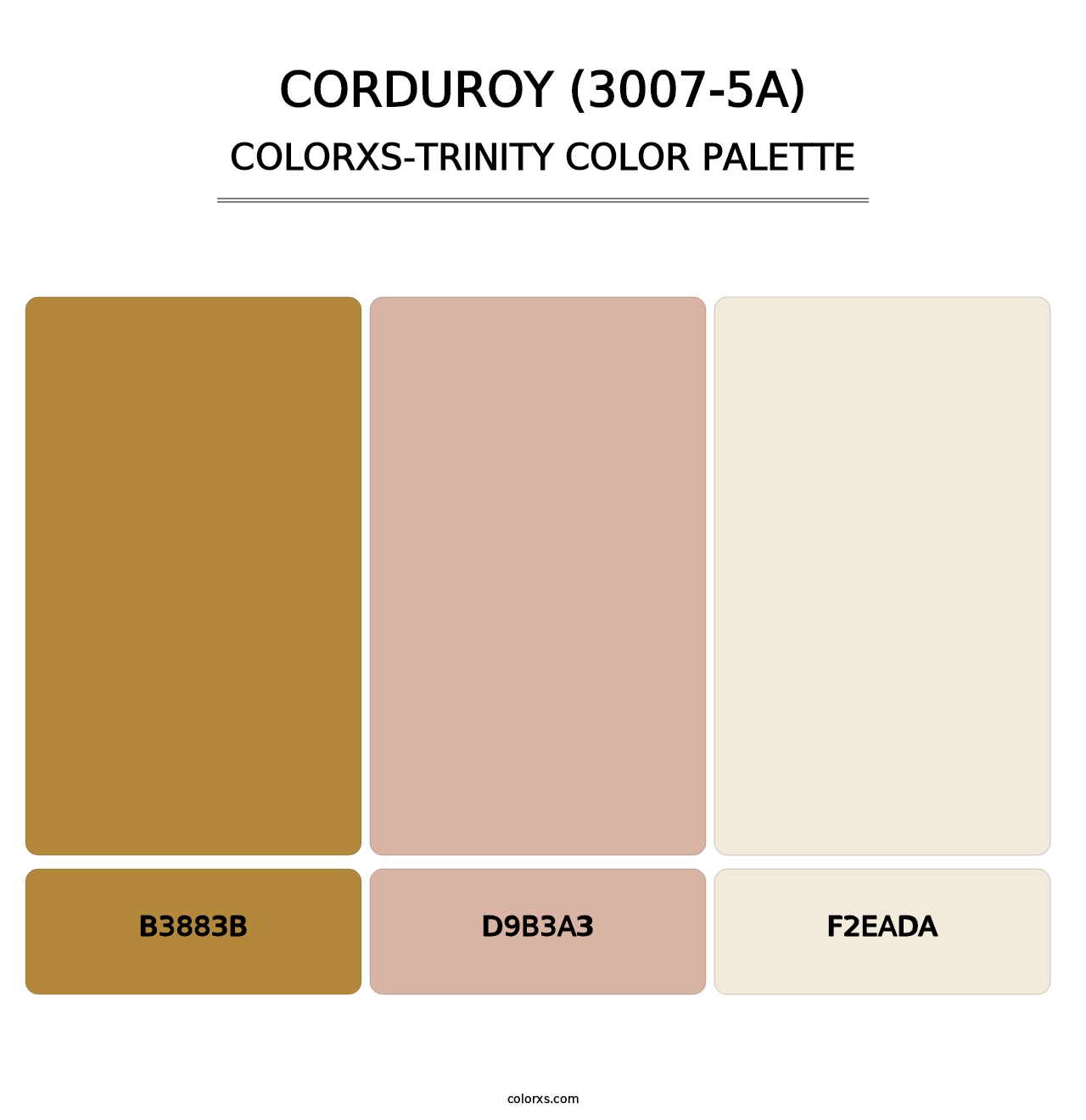 Corduroy (3007-5A) - Colorxs Trinity Palette
