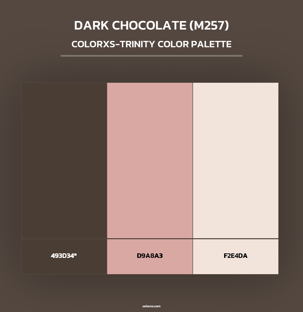 Dark Chocolate (M257) - Colorxs Trinity Palette