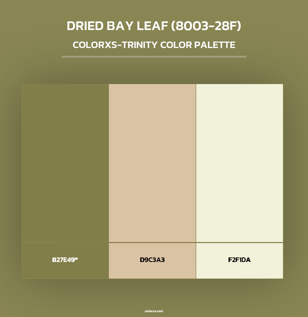 Dried Bay Leaf (8003-28F) - Colorxs Trinity Palette