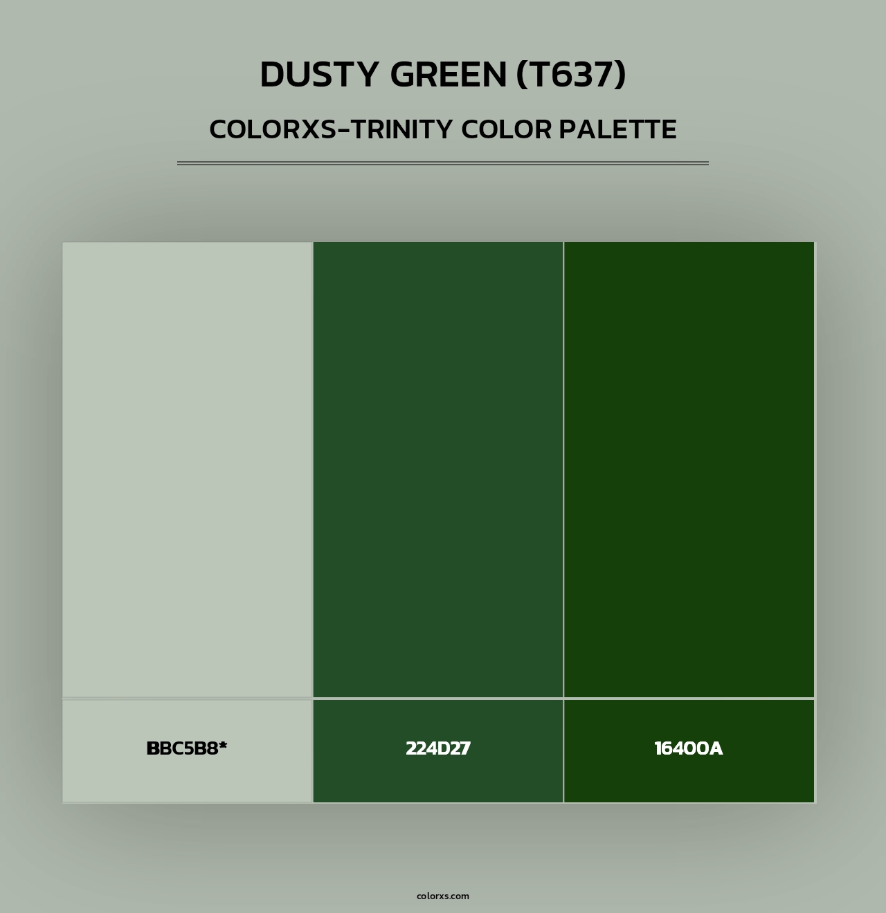 Dusty Green (T637) - Colorxs Trinity Palette
