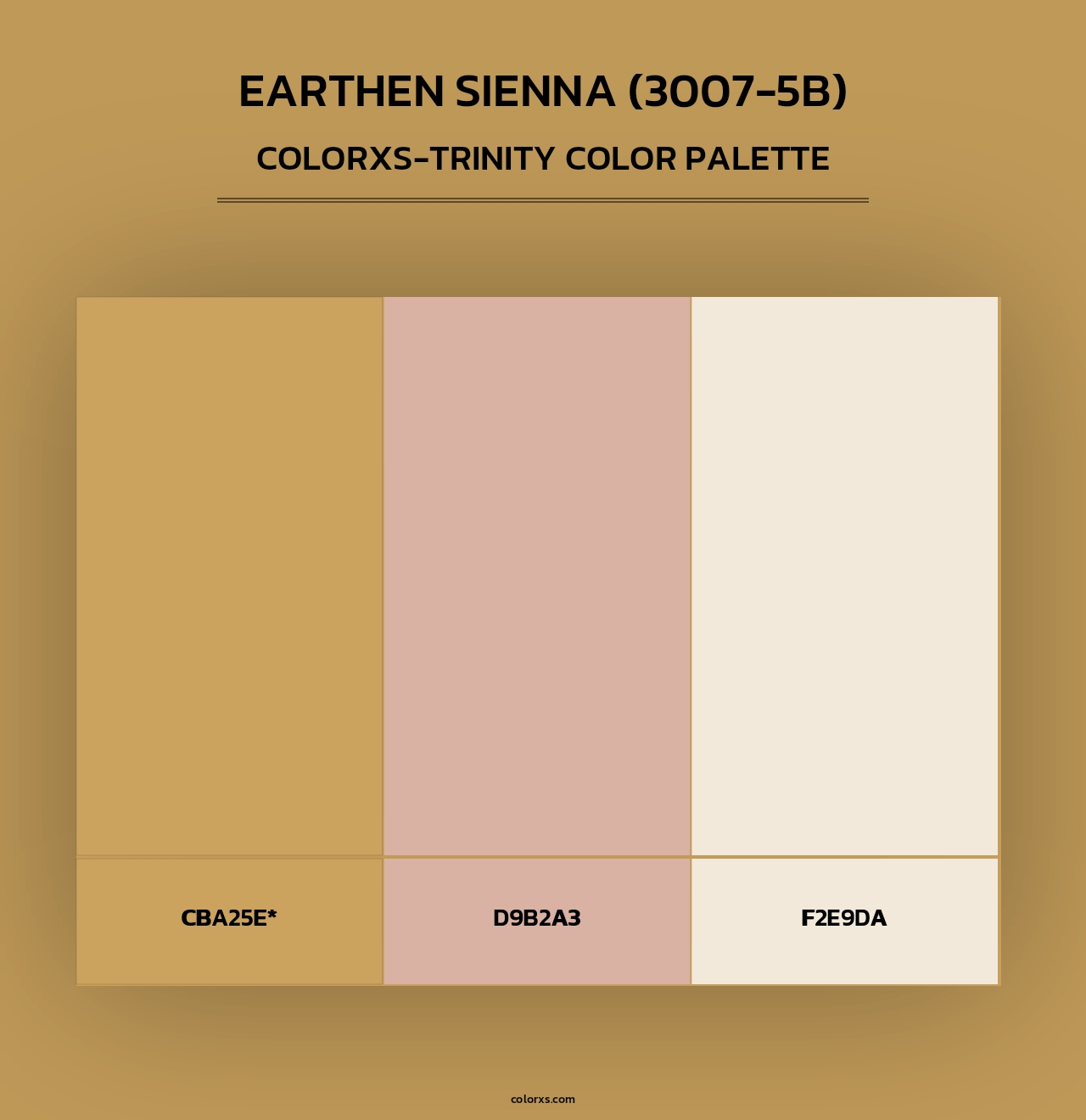 Earthen Sienna (3007-5B) - Colorxs Trinity Palette