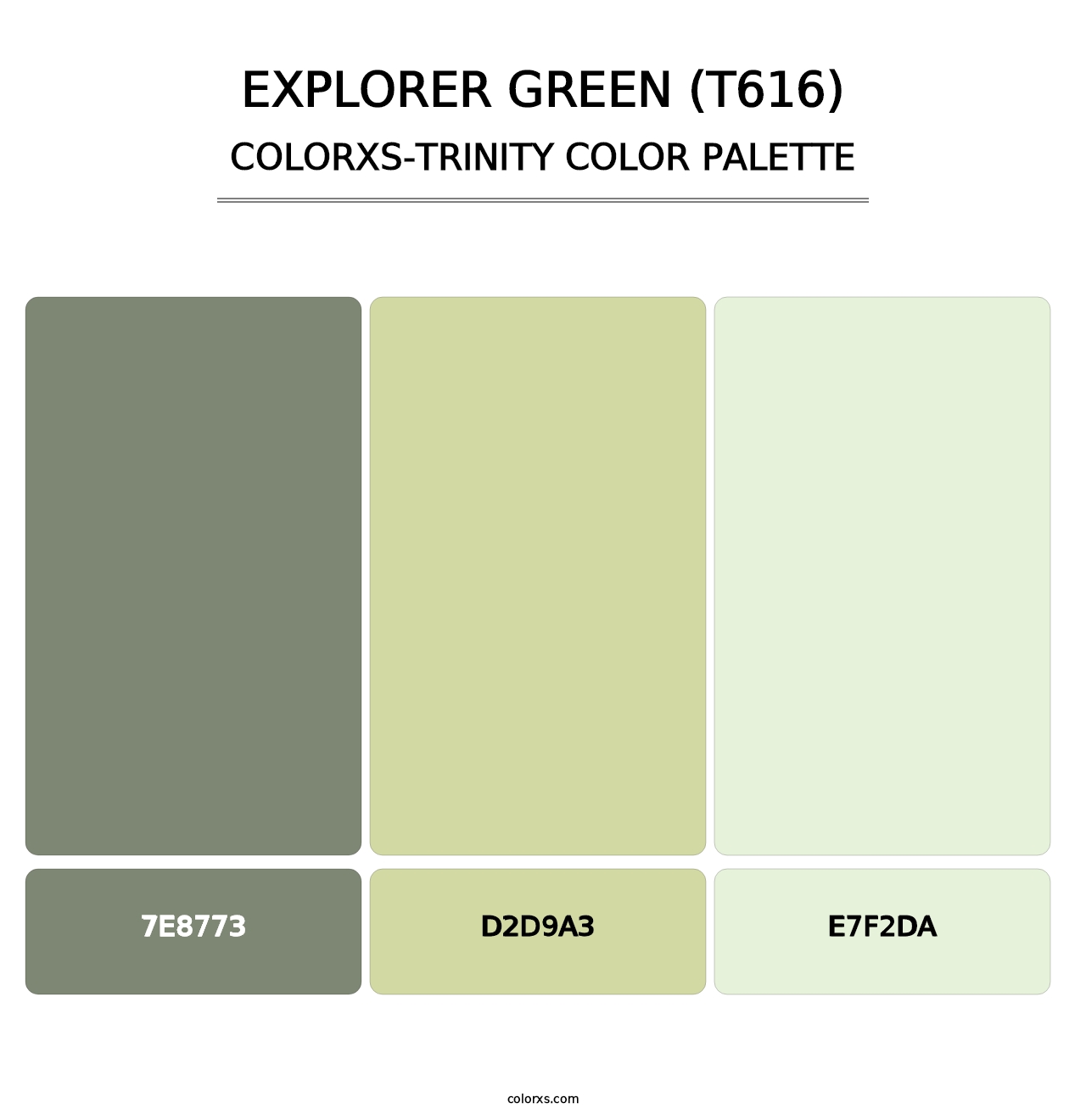 Explorer Green (T616) - Colorxs Trinity Palette
