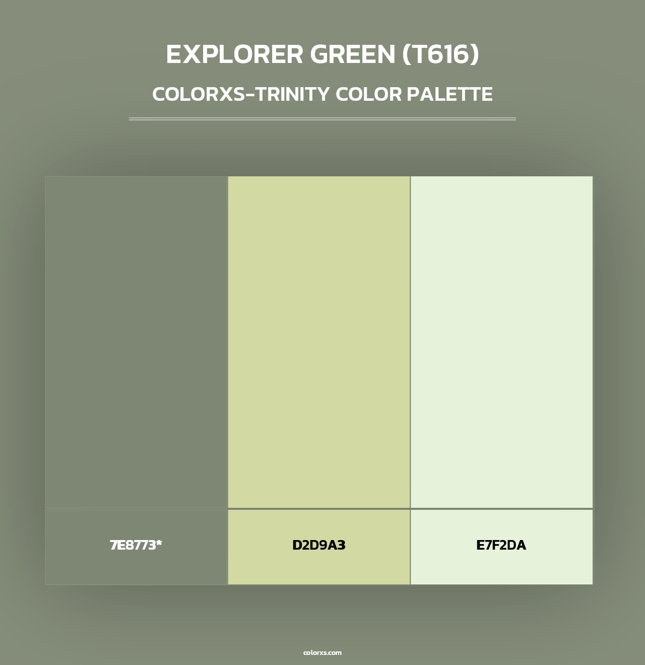 Explorer Green (T616) - Colorxs Trinity Palette