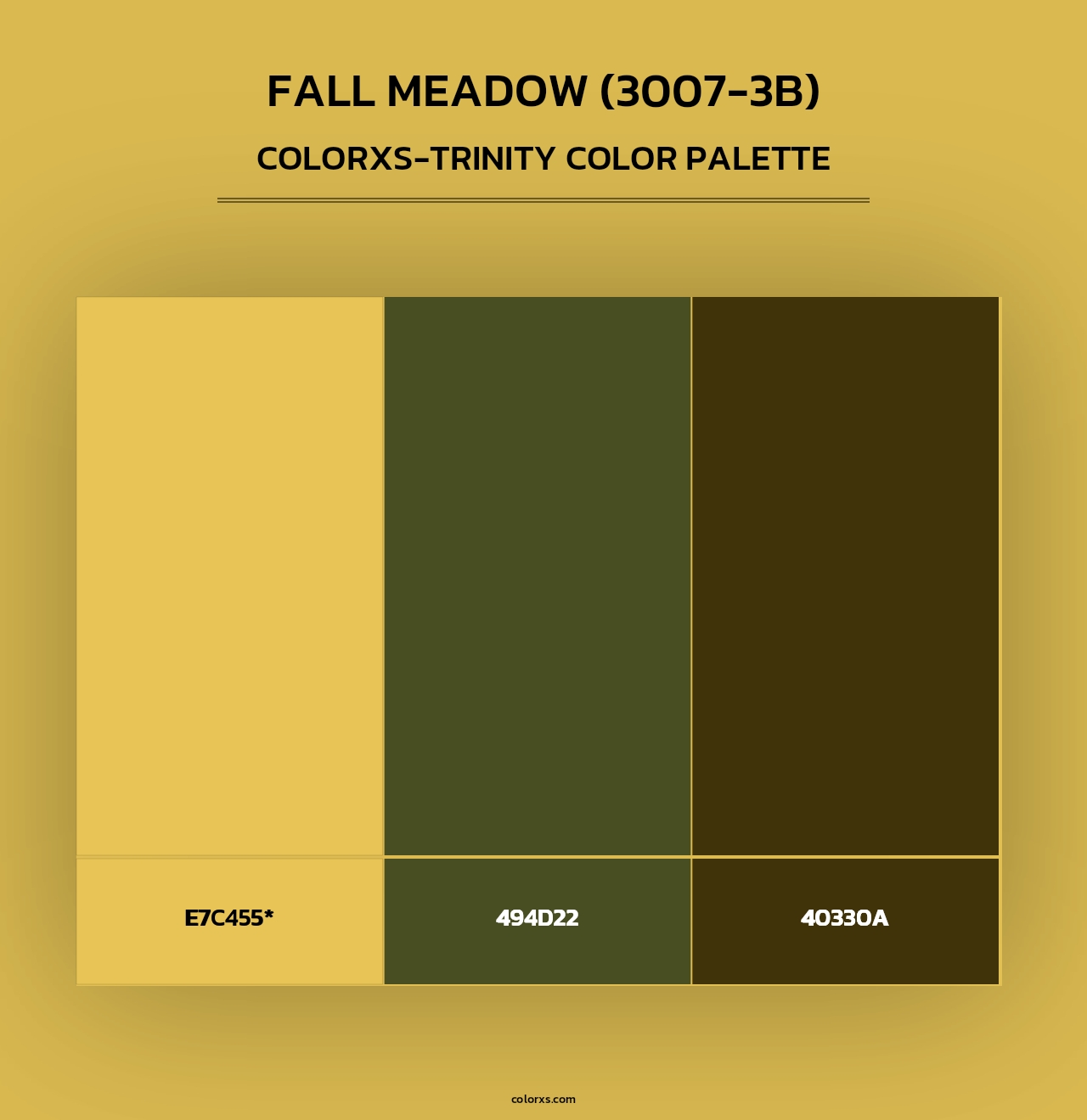 Fall Meadow (3007-3B) - Colorxs Trinity Palette