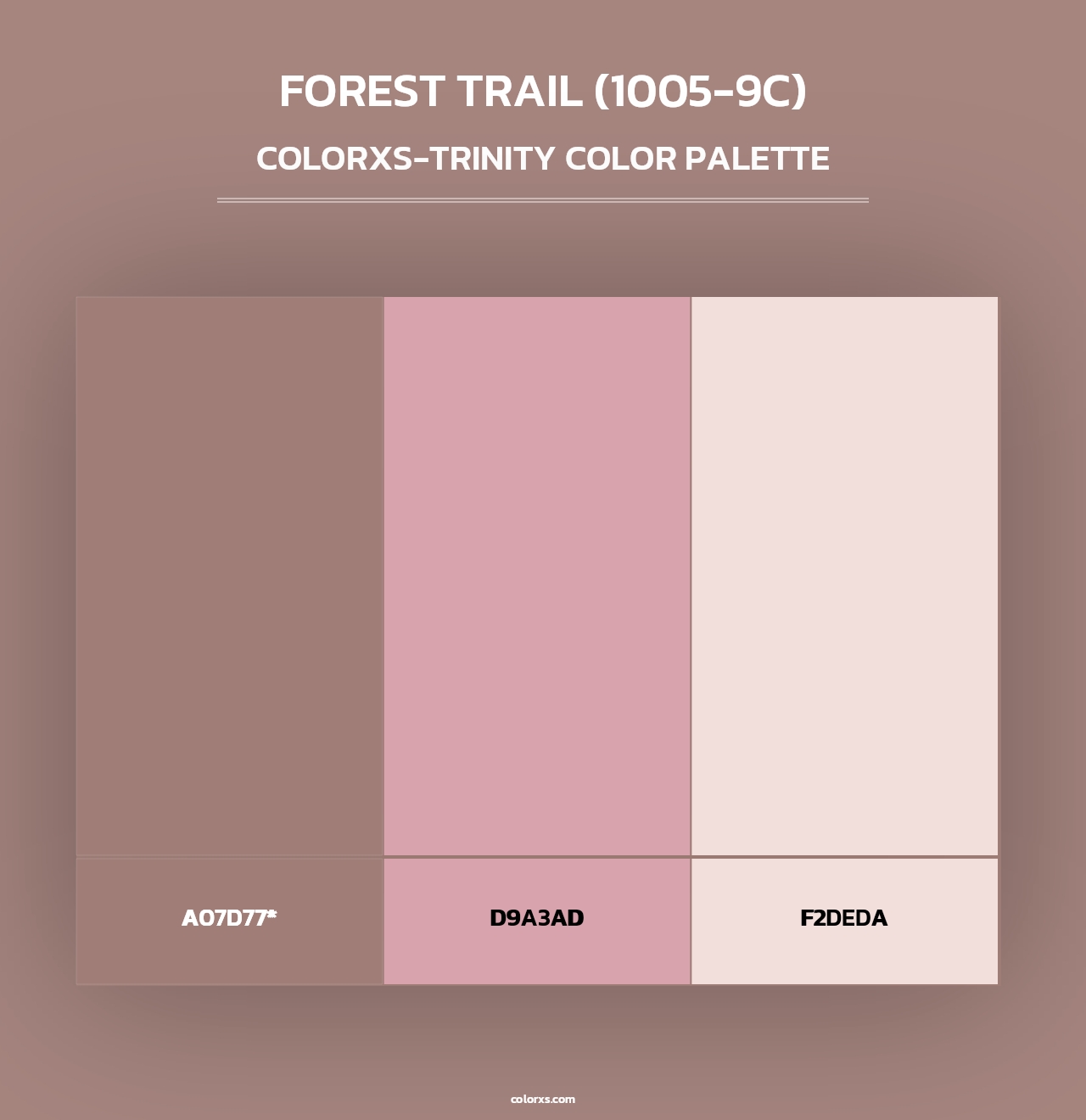 Forest Trail (1005-9C) - Colorxs Trinity Palette