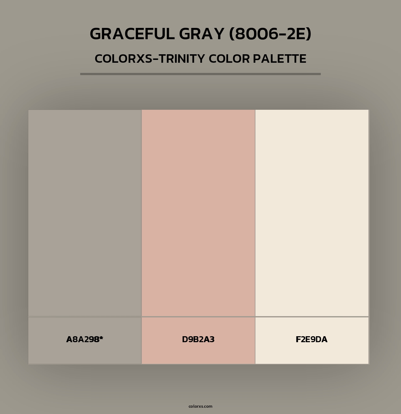 Graceful Gray (8006-2E) - Colorxs Trinity Palette