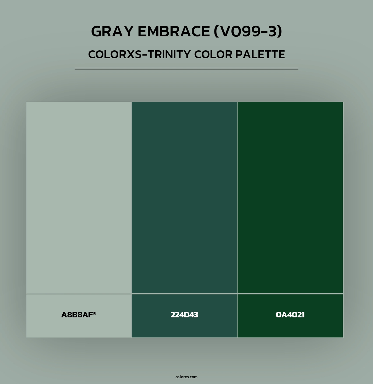 Gray Embrace (V099-3) - Colorxs Trinity Palette