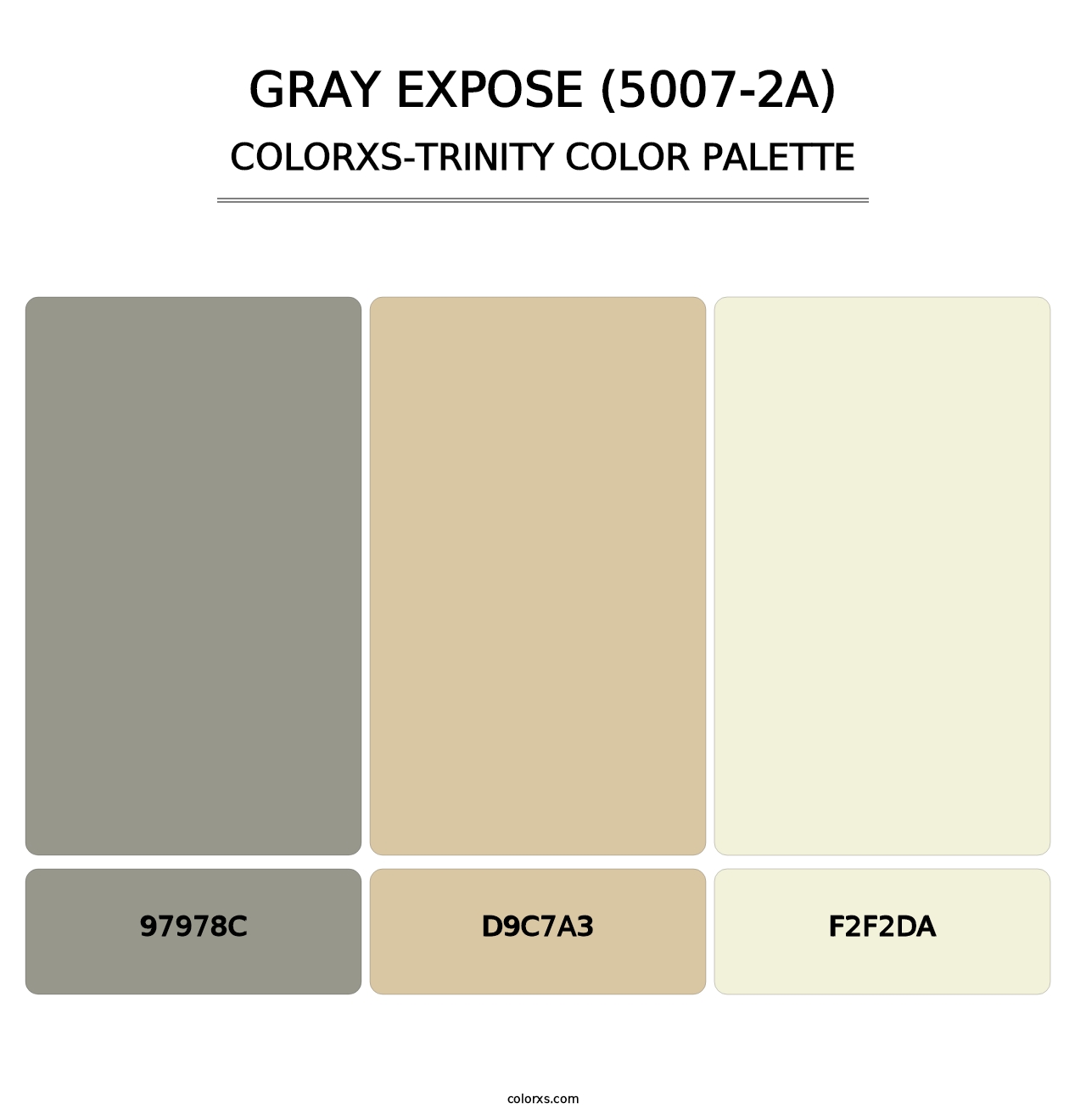 Gray Expose (5007-2A) - Colorxs Trinity Palette