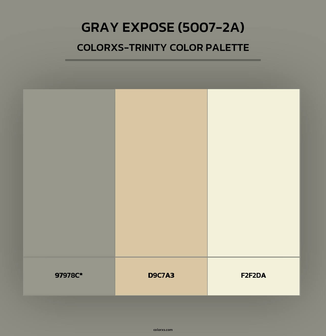 Gray Expose (5007-2A) - Colorxs Trinity Palette