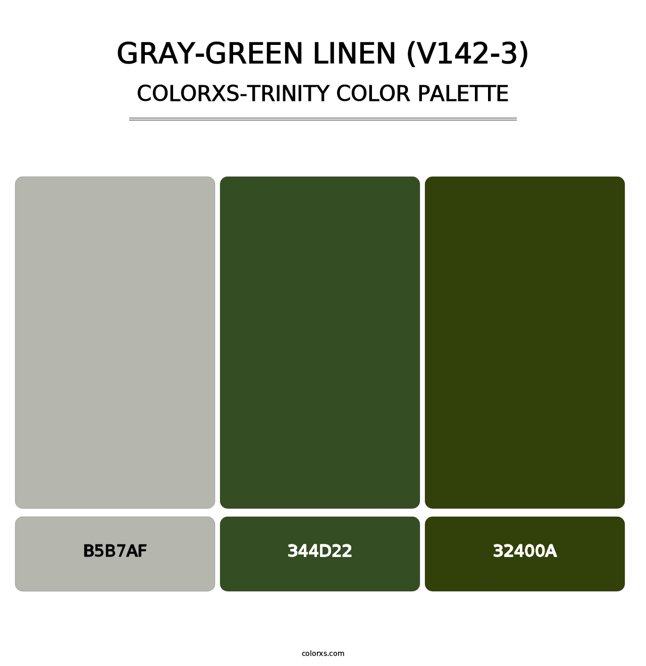 Gray-Green Linen (V142-3) - Colorxs Trinity Palette
