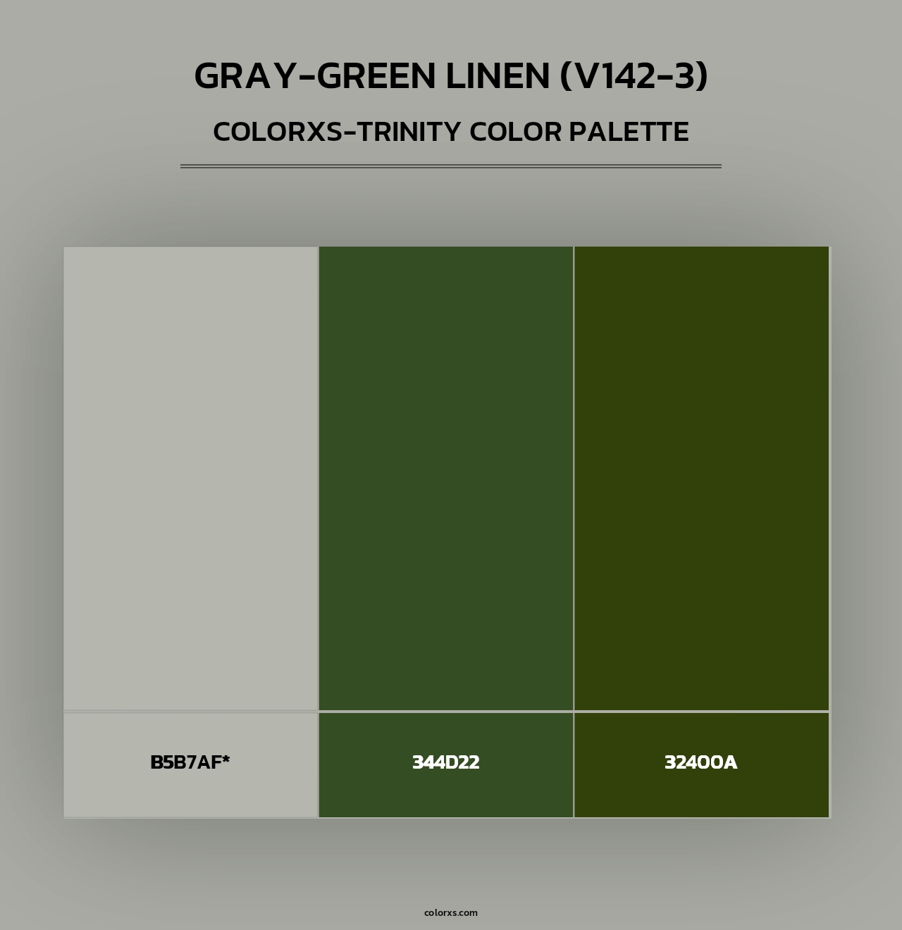 Gray-Green Linen (V142-3) - Colorxs Trinity Palette